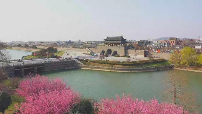 安徽寿县最新新闻报道