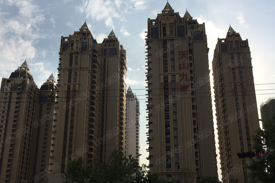 天山九峯最新价格揭秘，最新行情一览