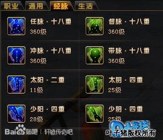 太白经脉最新加点图揭秘，小巷中的隐秘宝藏探索