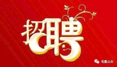 毛集最新招工信息大汇总,岗位集结,等你来挑战!