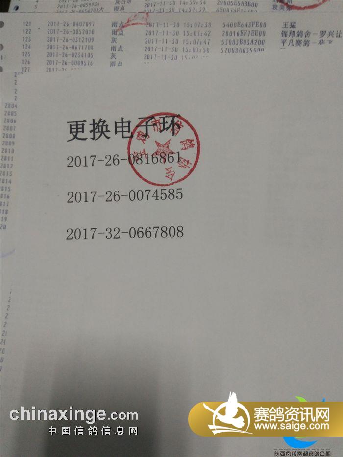 东光信鸽协会最新公告观点解析与论述