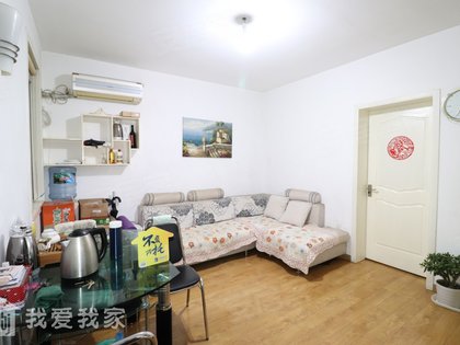 茶市新村最新房价探索，自然美景之旅，寻求内心平和与宁静的居所