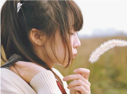 媳妇暴打婆婆事件调查,家庭矛盾与社会责任的碰撞与反思