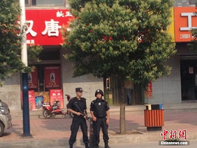 沧州最新杀人案，悲剧背后的深刻反思