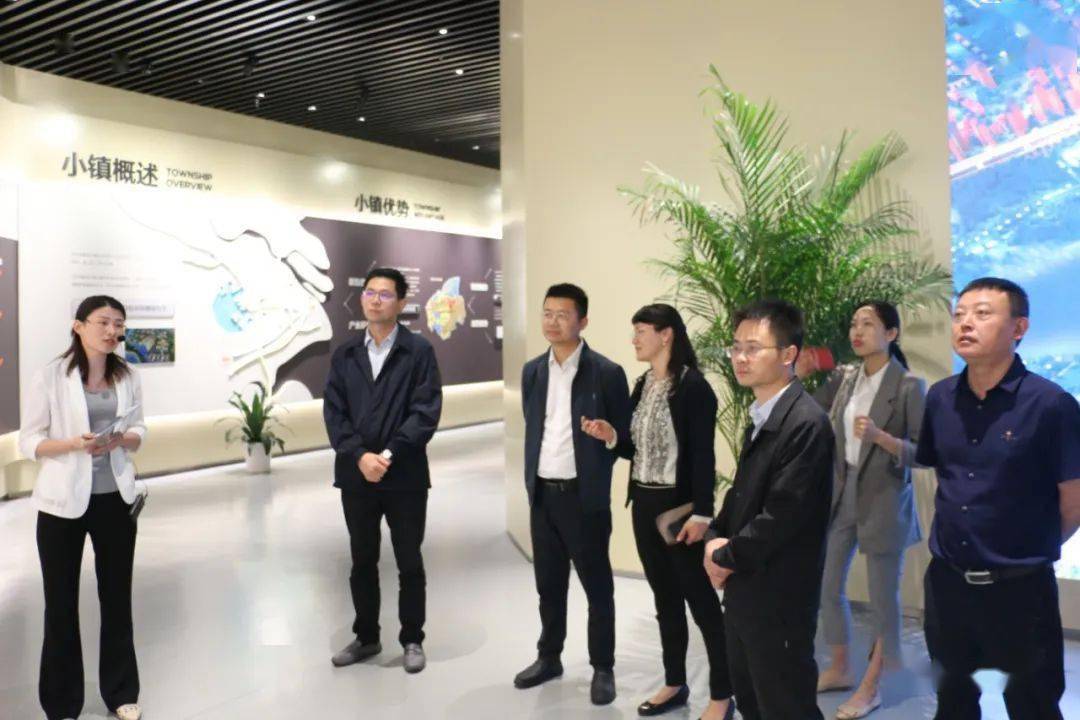 隆基泰和最新竞秀区，小巷中的隐藏瑰宝与特色小店探索