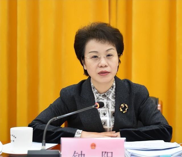 陆昊科技新品亮相，体验未来生活新纪元！