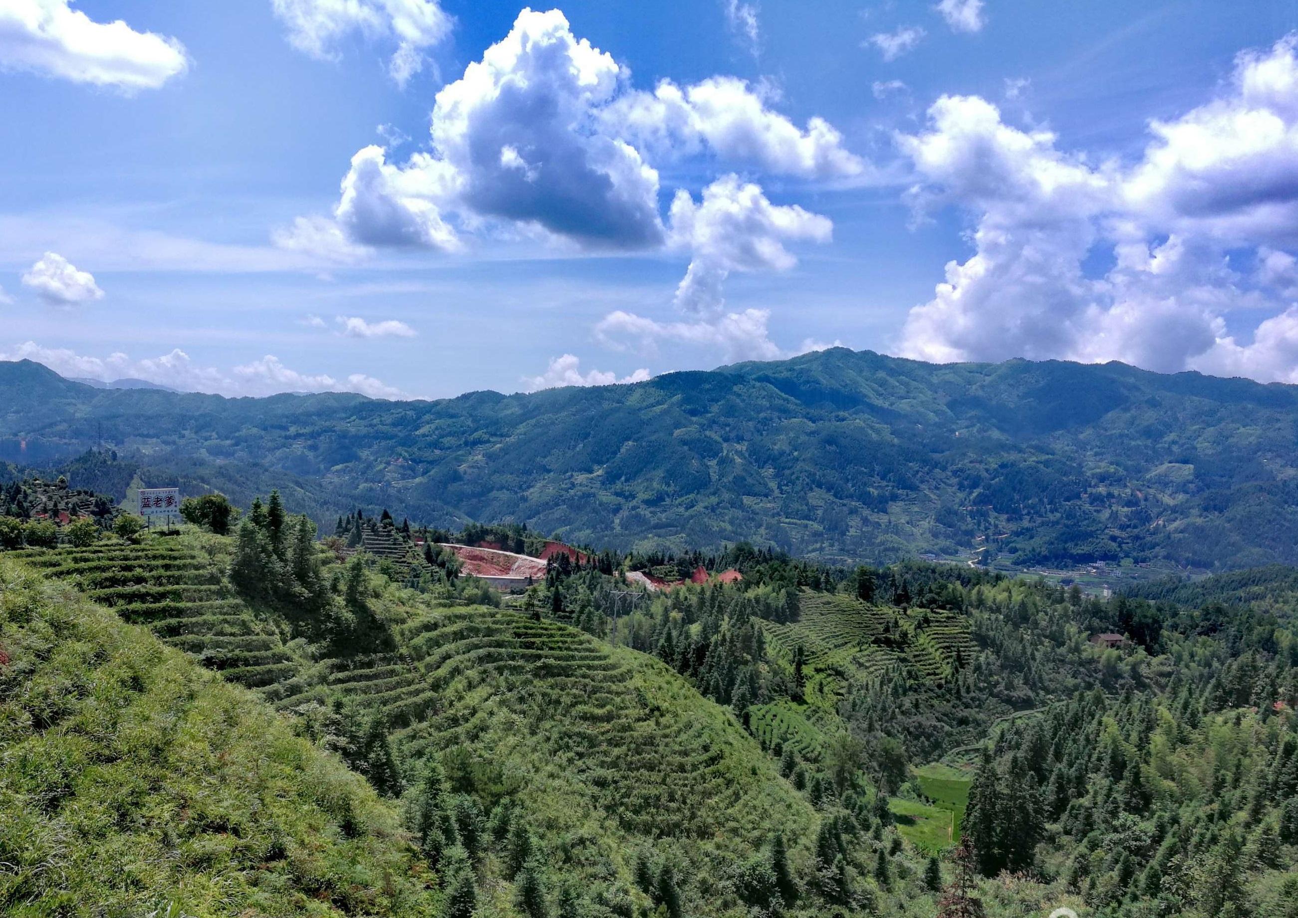 桂东房价最新动态,与自然美景的邂逅,探寻内心平和的居住之旅