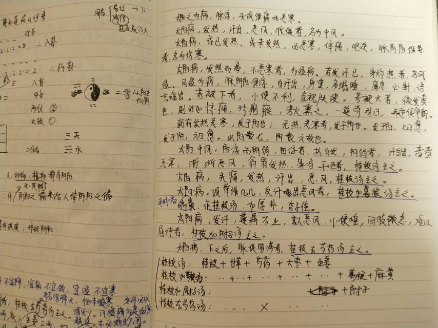 候仓海商路笔记引领科技潮流，重塑生活体验新篇章