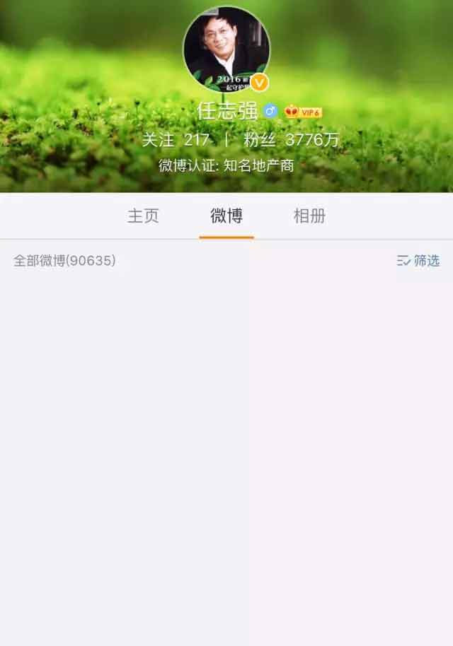 任志强最新言论揭示，小巷深处的隐藏美食宝藏 2024年展望