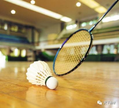 科技重塑羽毛球,体验最新精彩羽球世界