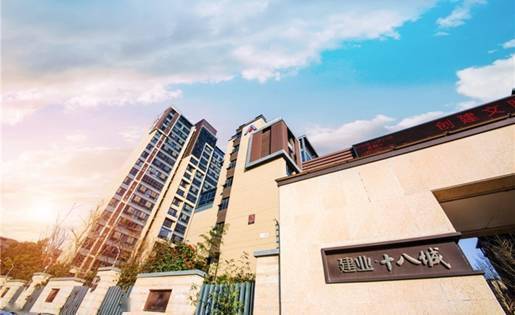 建业最新发展，视角与观点的全面解读