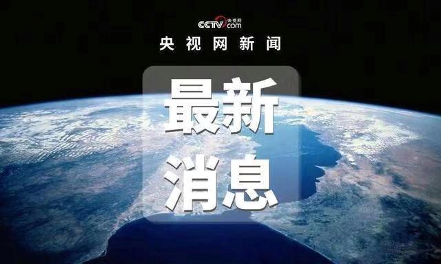 日常趣事，最新接触的爱与陪伴