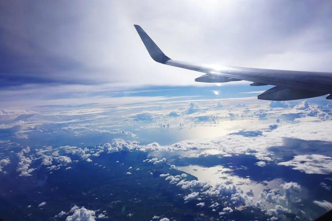 最新回国步骤指南详解