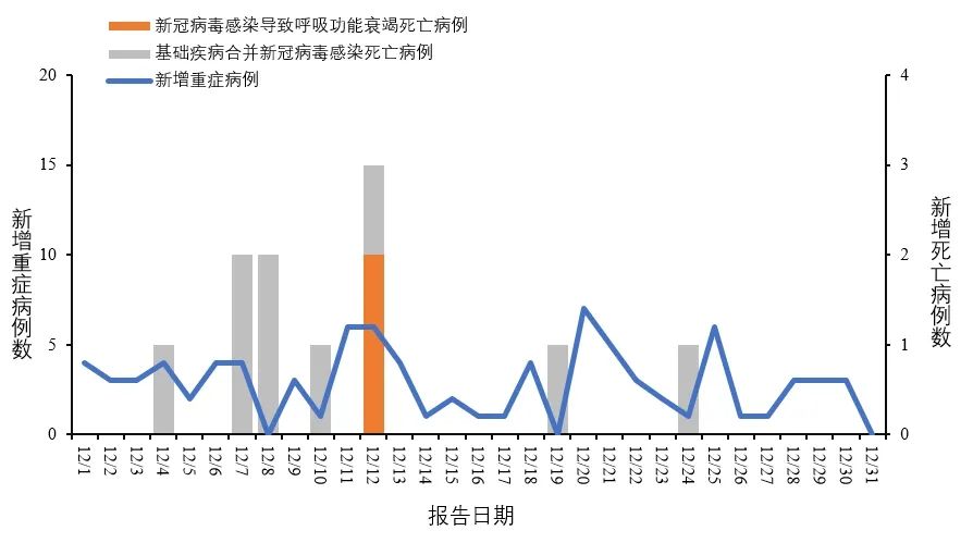 全球瞩目的健康挑战，最新病况更新