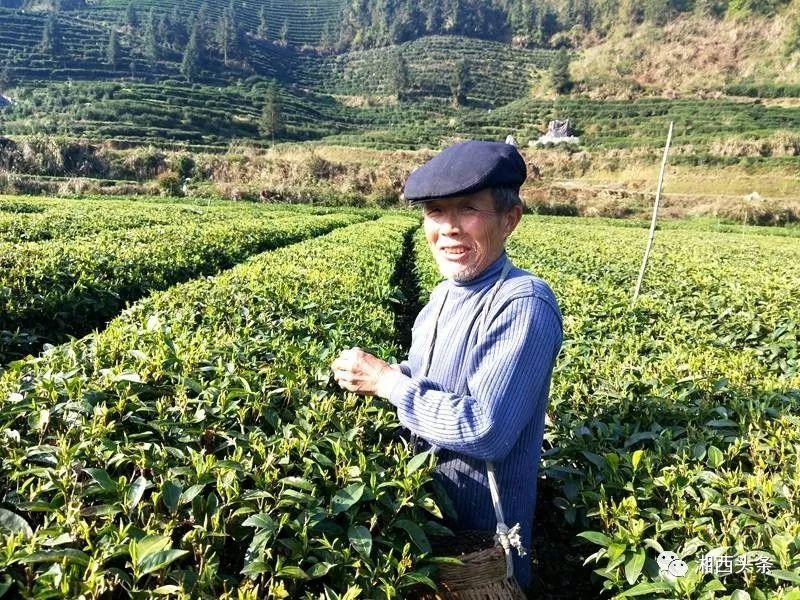 物联网设备研发 第317页