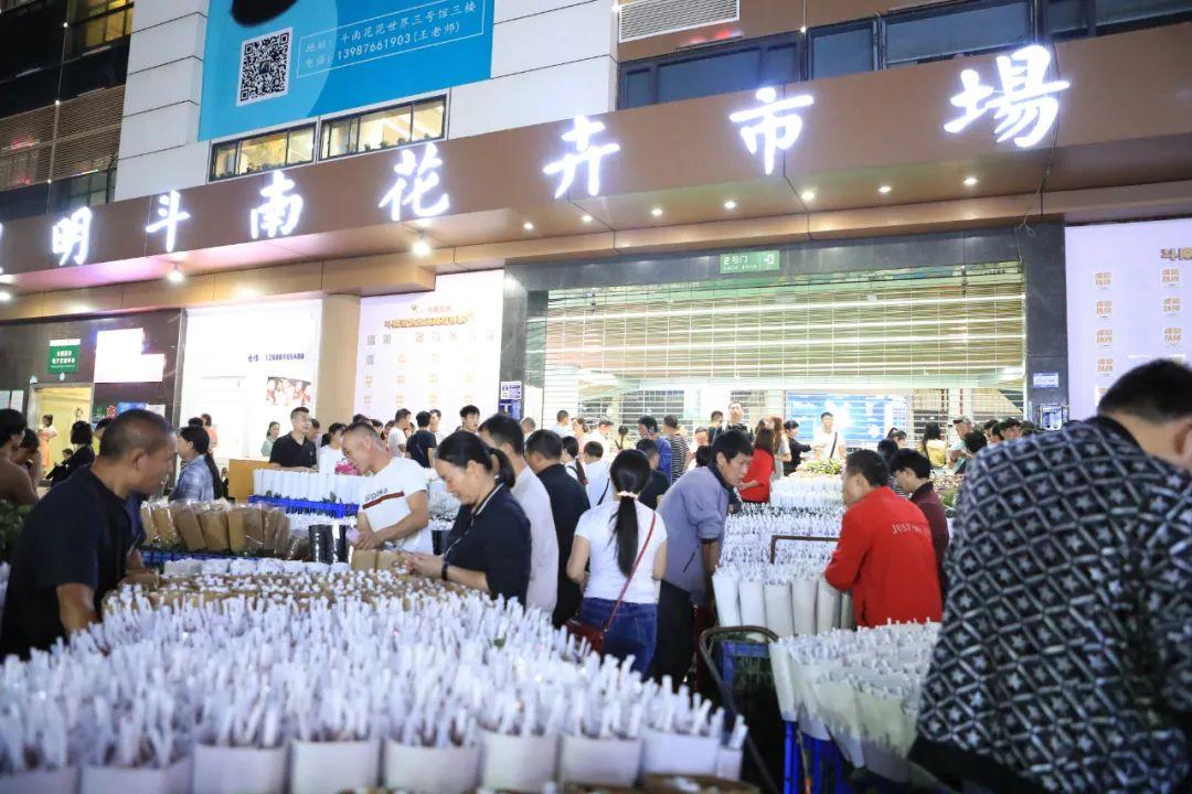 CGTN最新报道，聚焦国际时事热点，多元视角观察全球动态