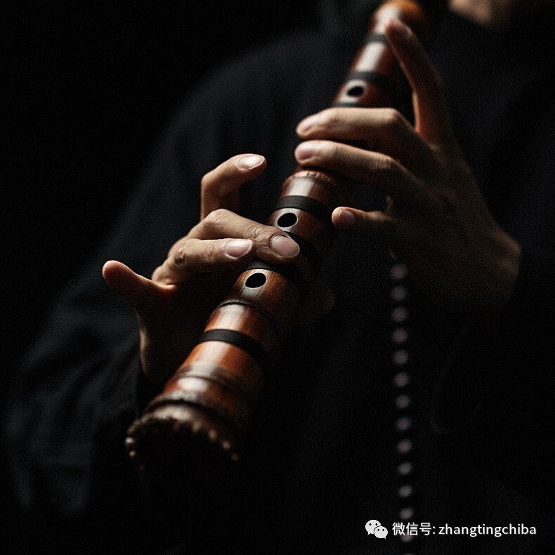 最新尺八名曲,音乐与友情的交织之美