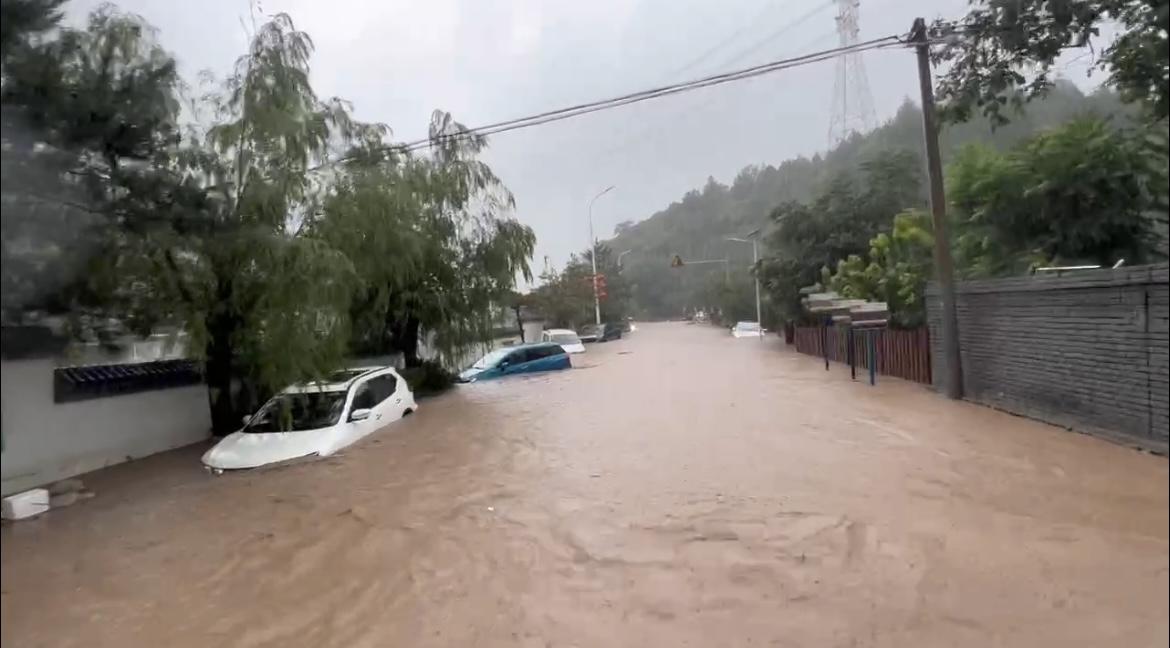 暴雨洪水最新消息,小巷奇遇中的生死救援