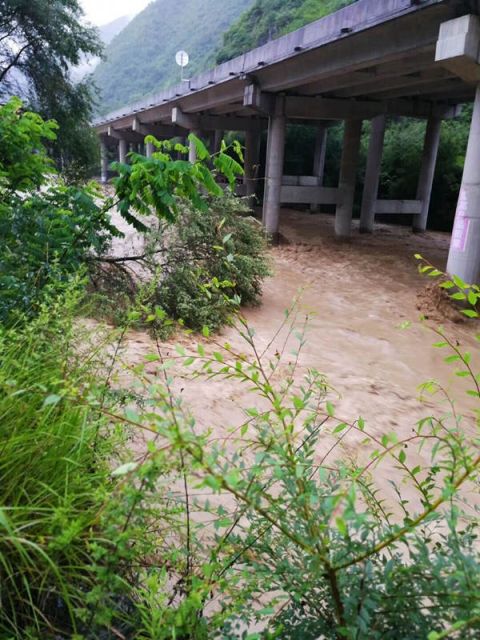 陇南暴雨受灾最新情况，灾难中的温馨故事