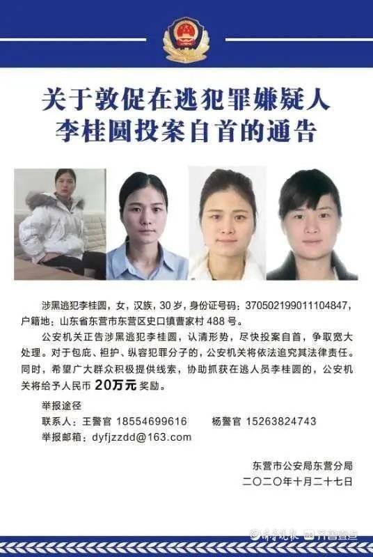 李桂圆引领科技潮流,最新高科技产品介绍及最新消息曝光