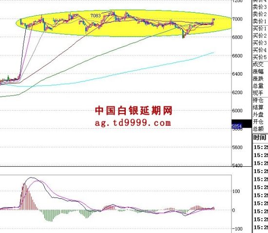 白银TD最新行情深度解析