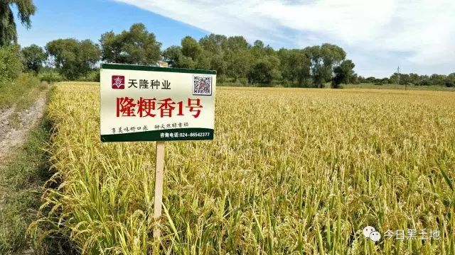 物联网设备研发 第291页