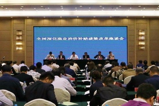 2015年油价补贴最新动态解析