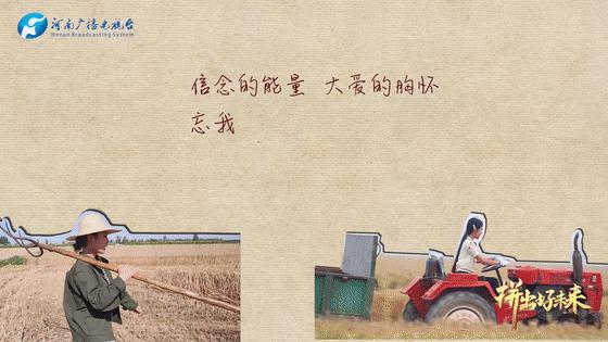 锋最新动态揭秘，温馨有趣的日常故事开启新篇章！