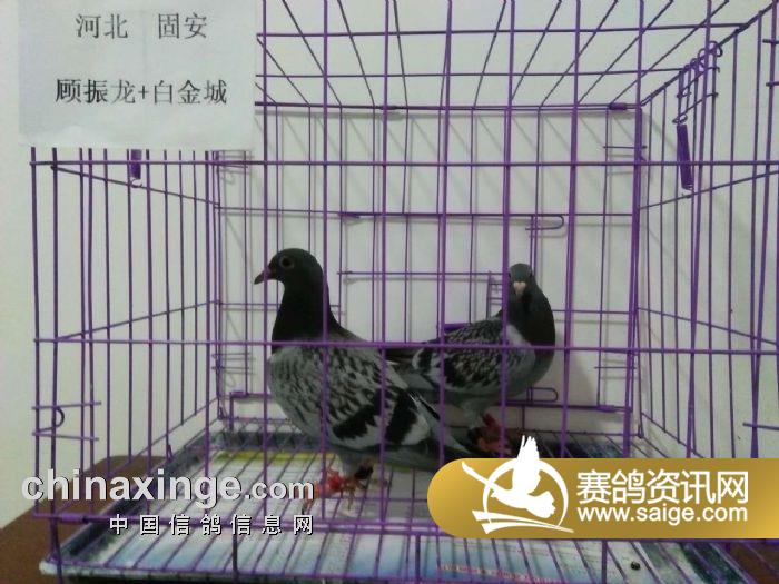 环境监测设备 第264页