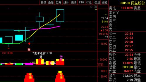 股票贴吧论坛交流，变化、学习与自信的力量驱动投资成长之路
