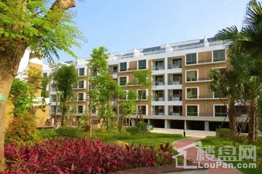 武夷名仕园最新价格概览与动态分析