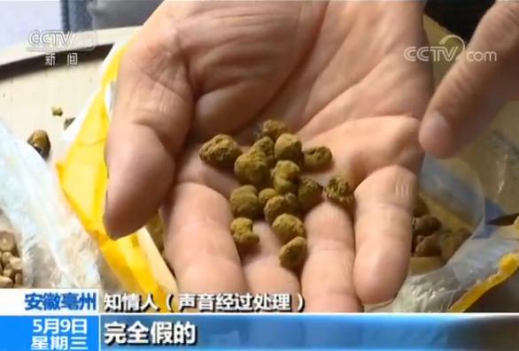 覆盆子最新价格资讯,覆盆子的甜蜜时光，一场关于友情与陪伴的温馨故事