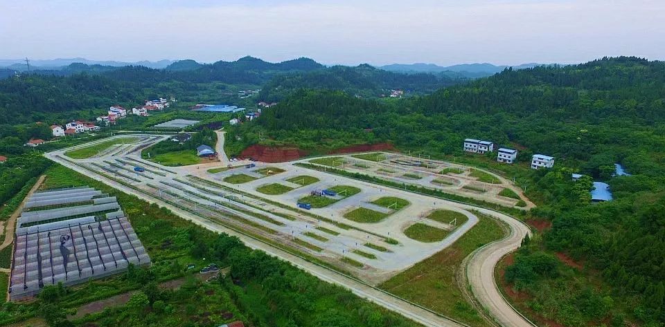 遂宁月山考场最新动态及考生指南