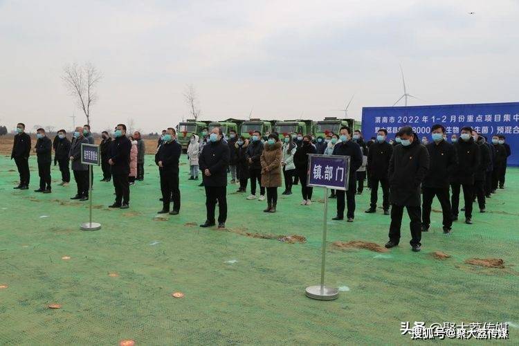 大荔金紫阳的欢乐日常，最新消息与难忘时刻回顾