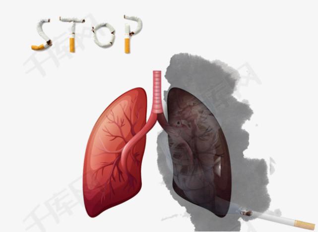 尼古丁最新研究进展揭秘，研究突破与发现概述