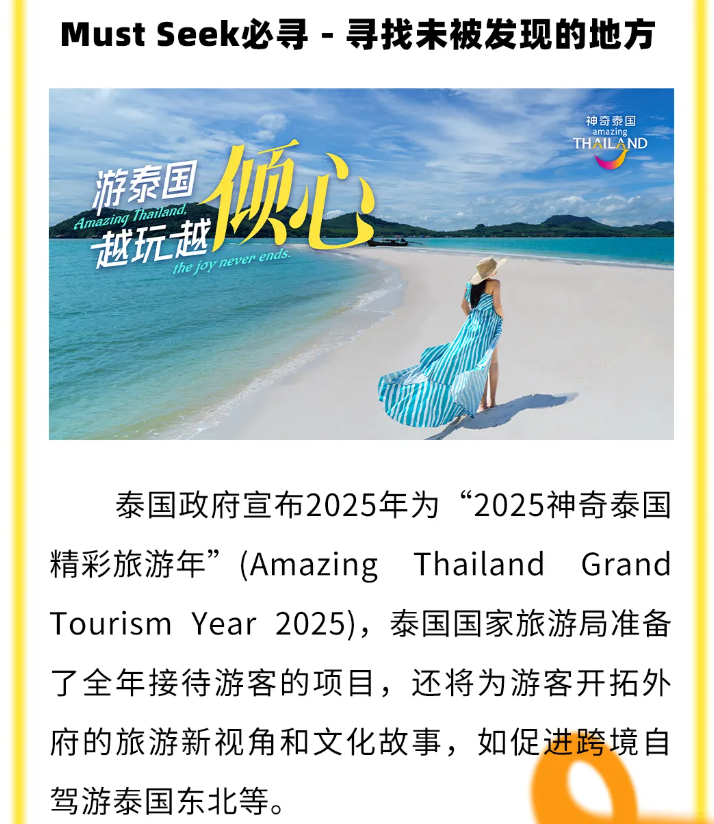 泰国小巷中的惊喜,独特隐藏小店最新资讯