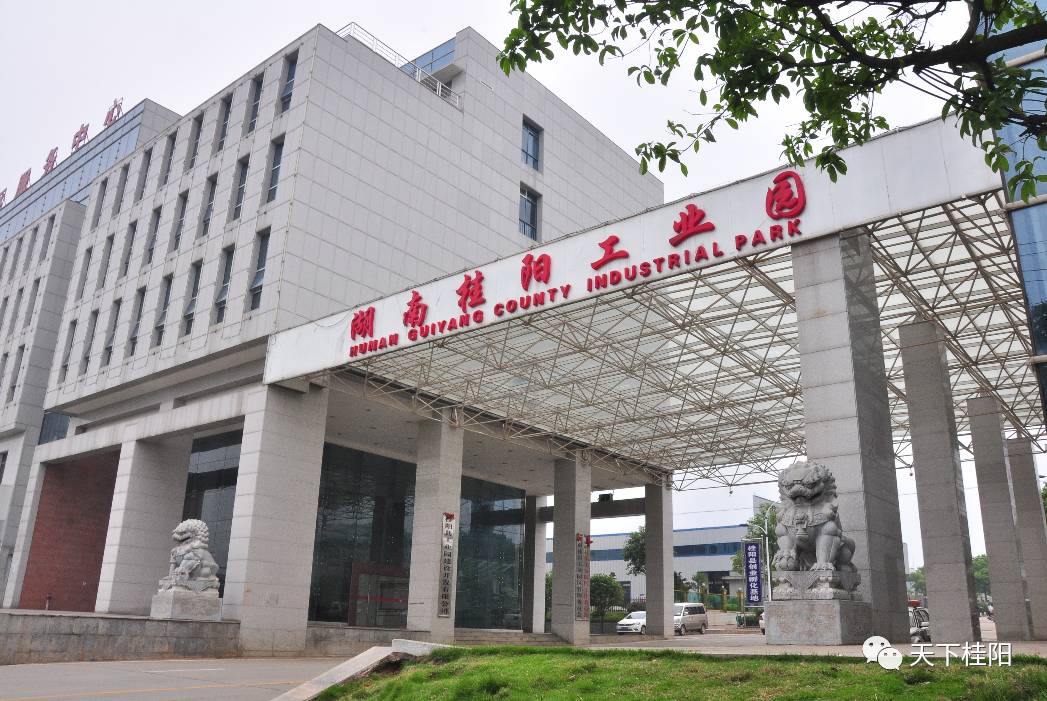 桂阳工业园最新招聘信息公告