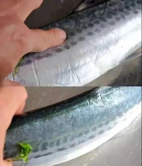 鱼身行情详解，捕捉与分析市场机会的指南与步骤解析