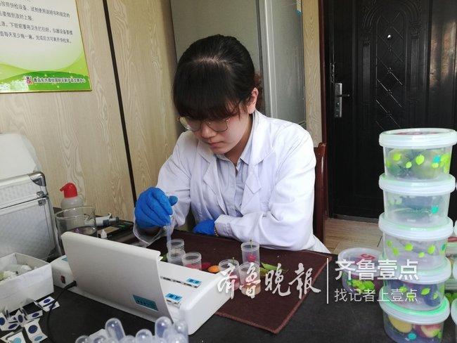 物联网设备研发 第236页
