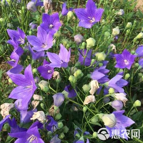 环境监测设备 第208页