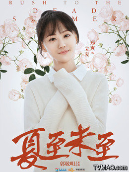 夏至未至完整版电视剧免费观看，寻找内心平静的旅程启幕
