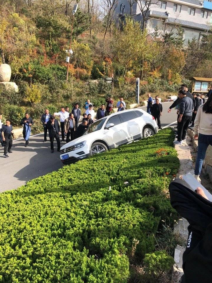 五莲司机招聘信息，高科技驾驭未来，招募精英司机团队启动新征程