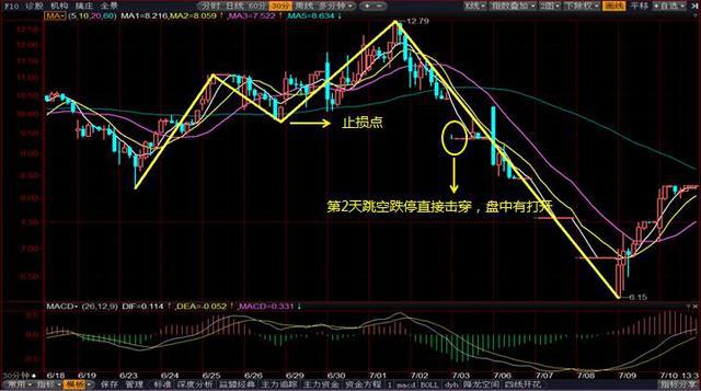 股票跳空低开背后的故事，日常中的温馨与挑战
