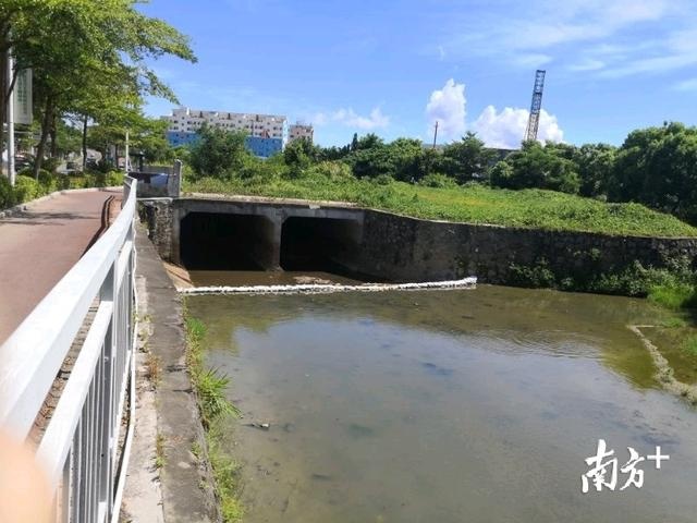 沙河最新资讯深度解读，繁荣背后的故事与个人观点观察