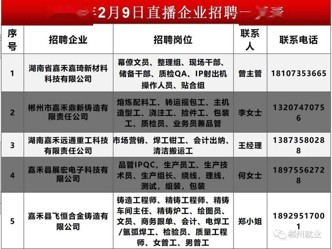 郴州市最新职位招聘探秘，职业发展的新天地