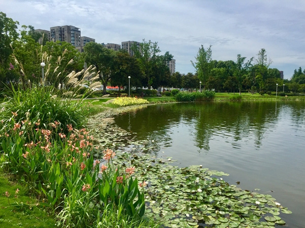 花花叶叶新动态，与自然美景的邂逅与内心平和之旅的探寻