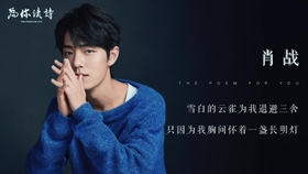 电视剧大哥演员表全解析，中国电视剧明星阵容一览