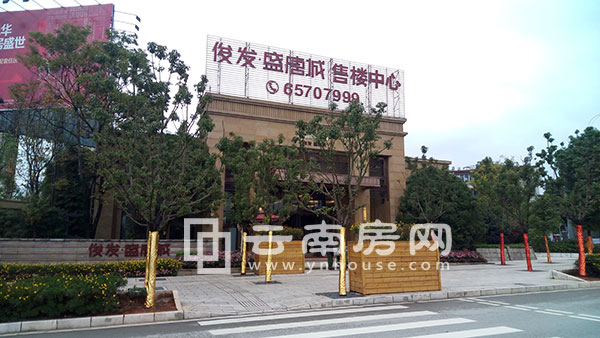 俊发盛唐城最新资讯，小巷特色小店与独特风情之旅