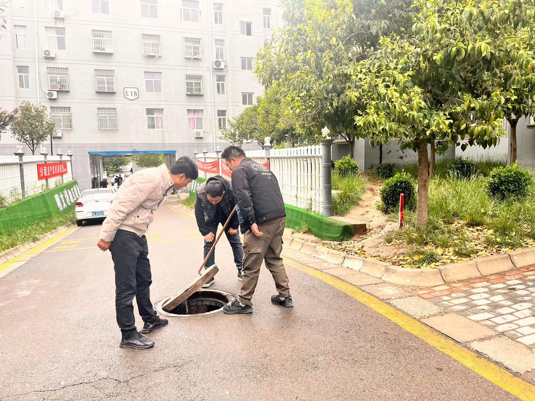合阳最新租房资讯，学习变化中的自信与成就感提升之路