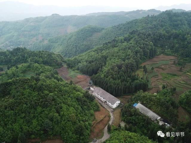 最新毕节农村场地，乡野趣事与家的温馨纽带体验报道